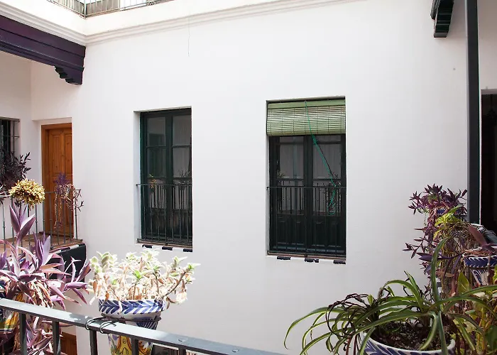 Gotoseville Sierpes Suite