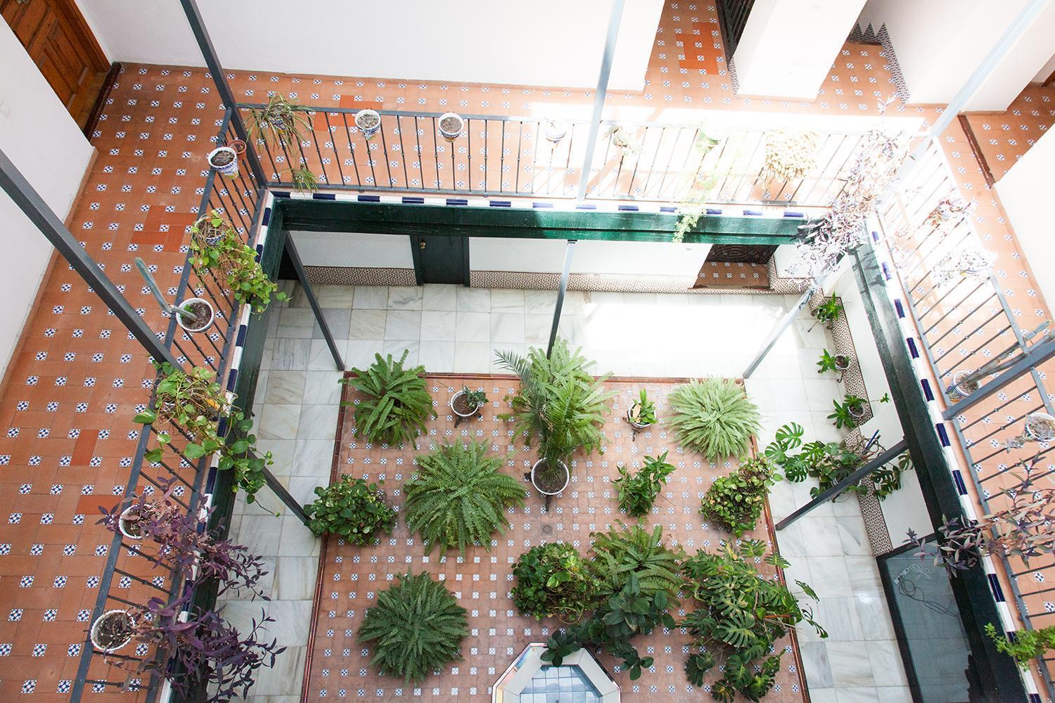 Apartamento Gotoseville Sierpes