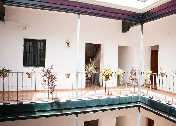 Gotoseville Sierpes Suite